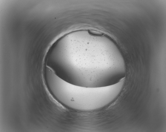 X0000062871518200601271542