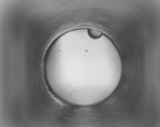 X0000062871519200601271542