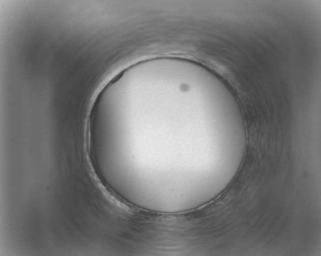 X0000062871520200601271542