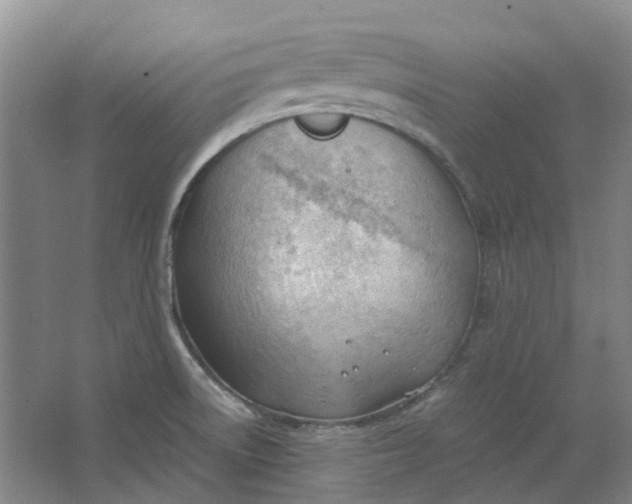 X0000062871522200601271542