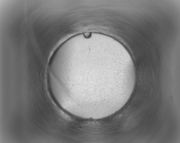 X0000062871525200601271543