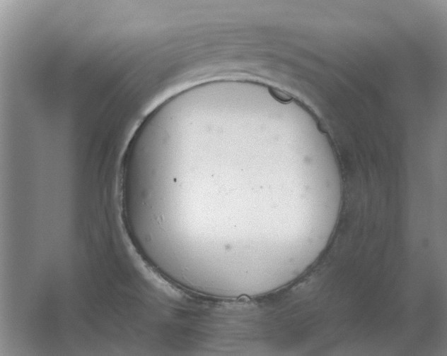 X0000062871526200601271543