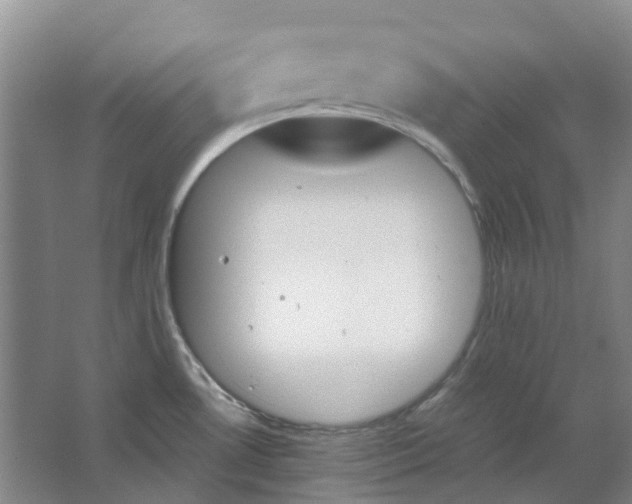 X0000062871530200601271543