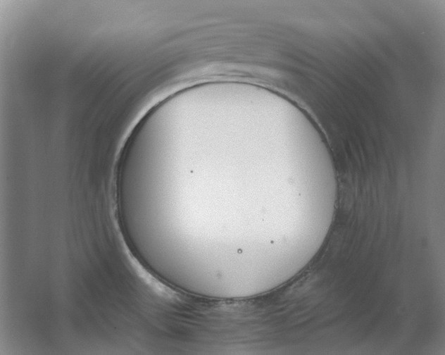 X0000062871531200601271543