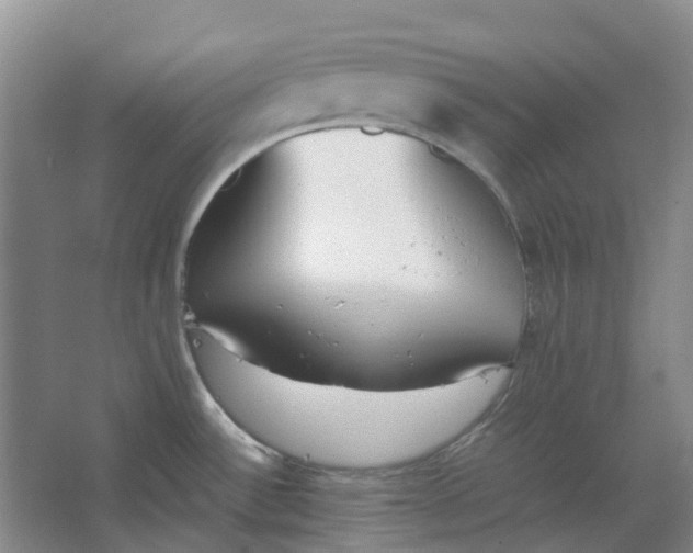 X0000062871532200601271543