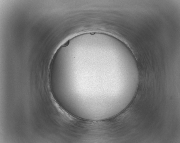 X0000062871534200601271543