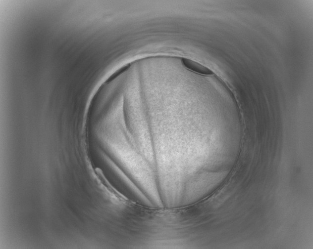 X0000062871536200601271543