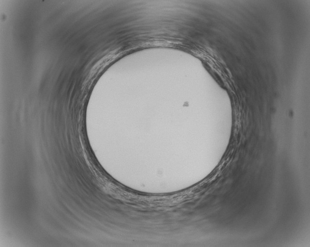 X0000062870001200602031728