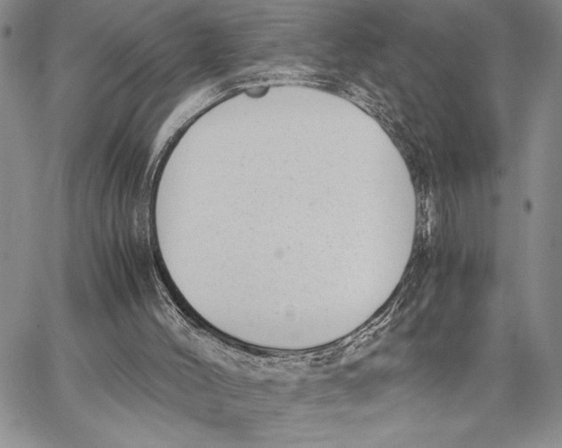 X0000062870004200602031728