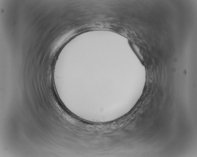 X0000062870005200602031728