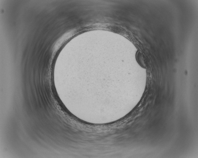 X0000062870006200602031728