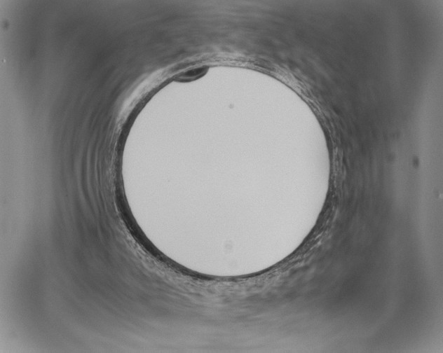 X0000062870007200602031728