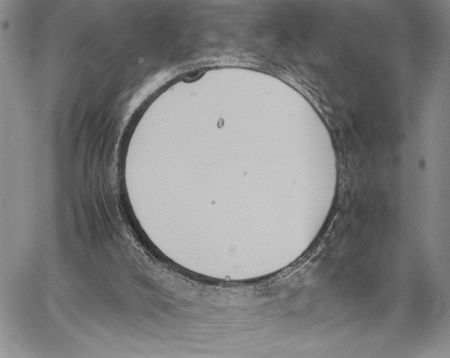 X0000062870008200602031728