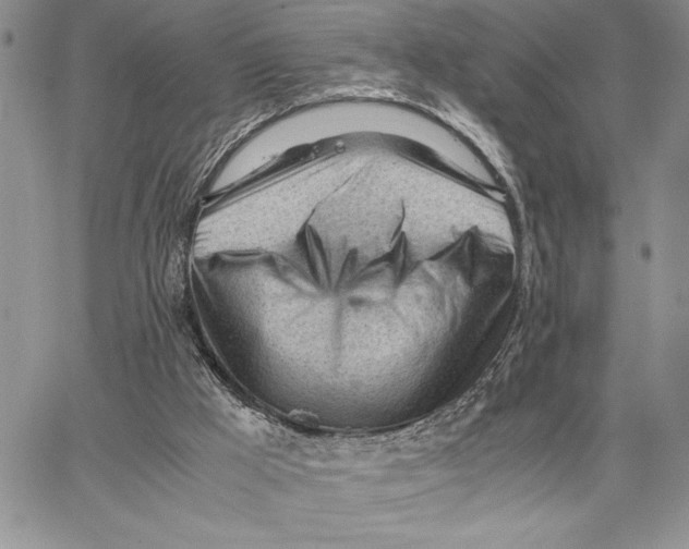 X0000062870009200602031728