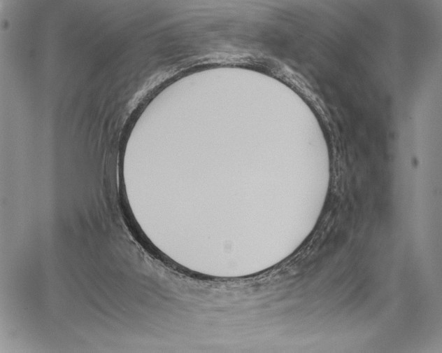 X0000062870011200602031728