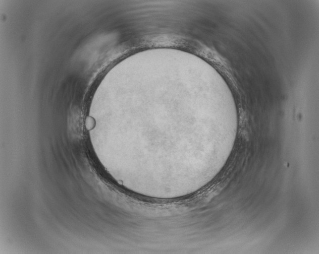 X0000062870012200602031728