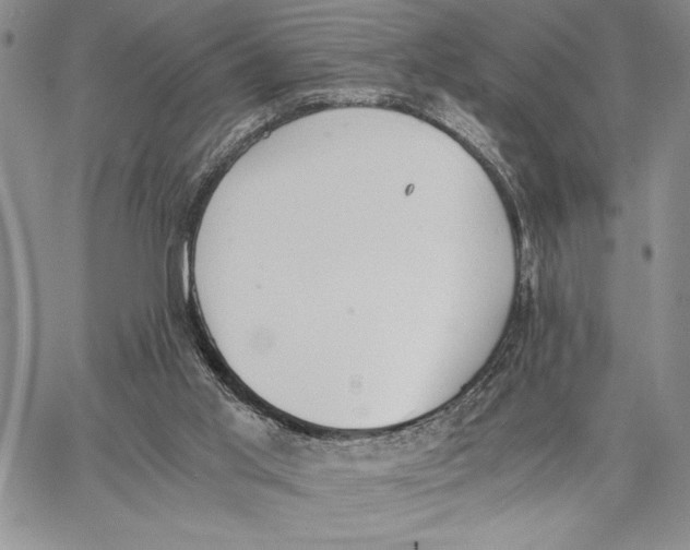 X0000062870013200602031728