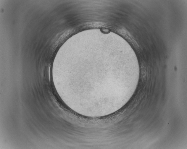 X0000062870014200602031728