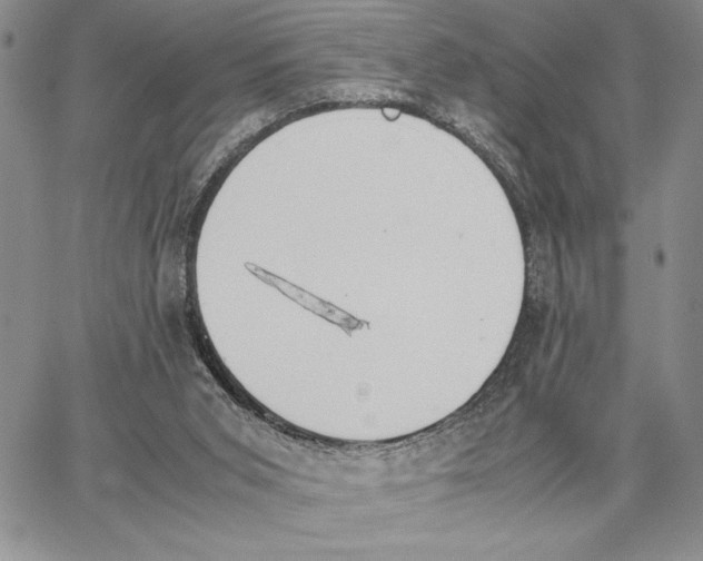 X0000062870015200602031728