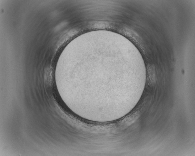 X0000062870016200602031728