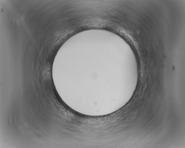 X0000062870017200602031728