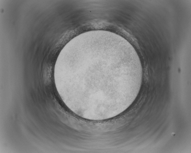 X0000062870018200602031728