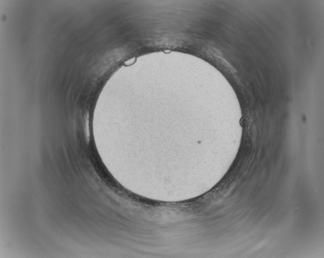 X0000062870020200602031728