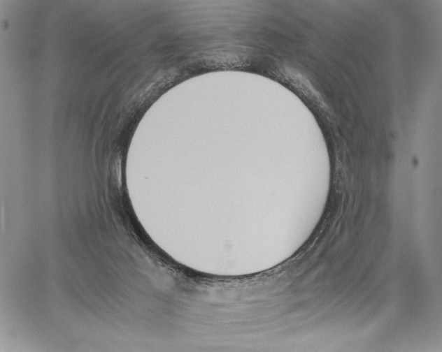 X0000062870021200602031728