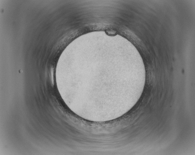 X0000062870022200602031728