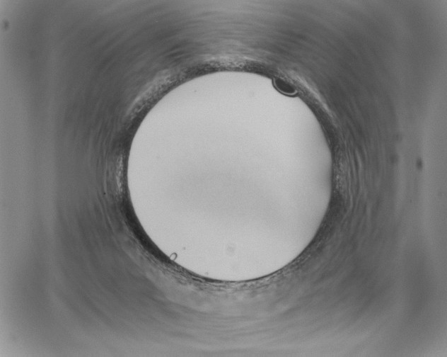 X0000062870023200602031728