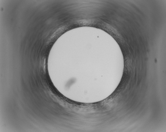 X0000062870024200602031728