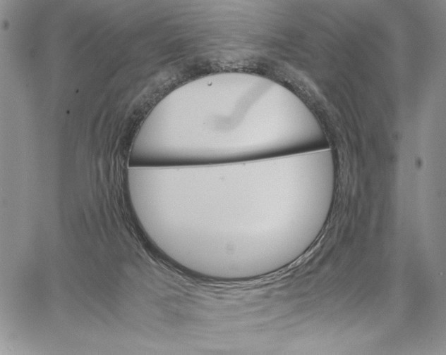 X0000062870025200602031728