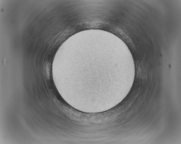 X0000062870026200602031728