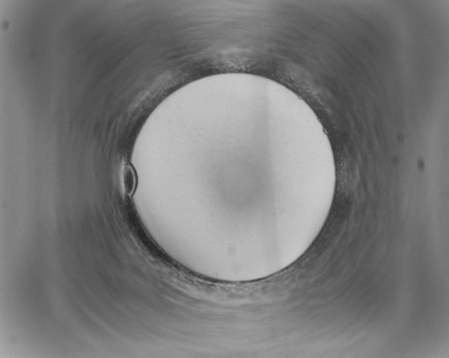 X0000062870027200602031728