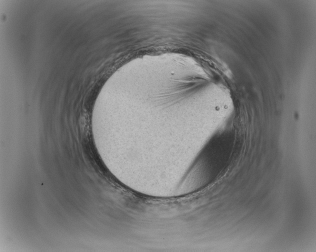 X0000062870029200602031728