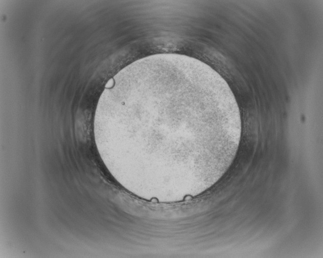 X0000062870030200602031728