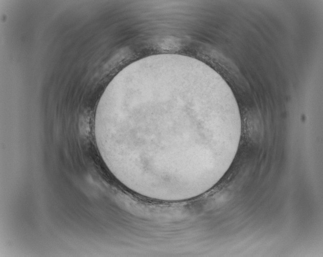 X0000062870032200602031728