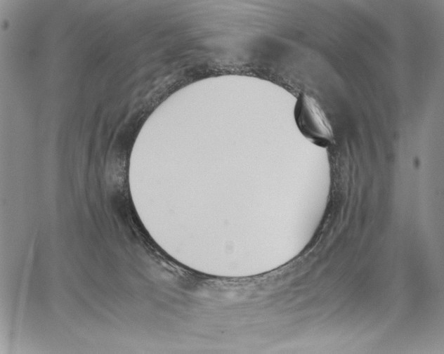 X0000062870033200602031728