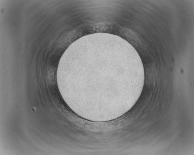 X0000062870034200602031728