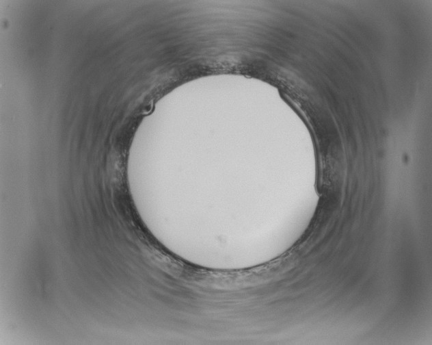 X0000062870037200602031728