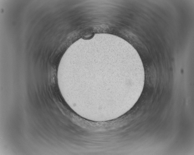 X0000062870038200602031728