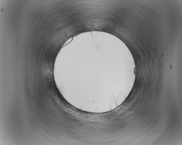 X0000062870040200602031728