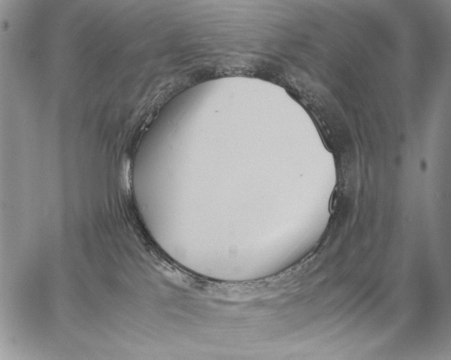 X0000062870041200602031728