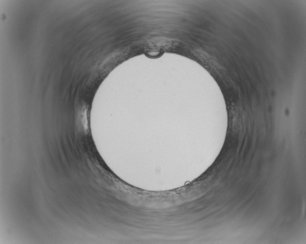 X0000062870042200602031728