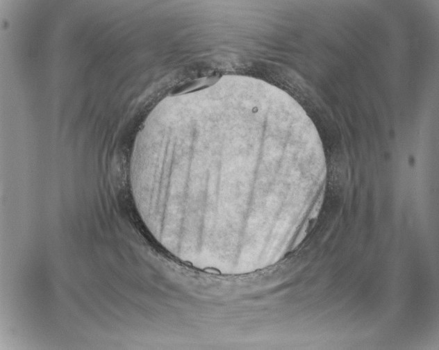 X0000062870043200602031727