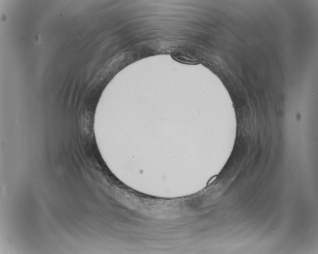 X0000062870044200602031727