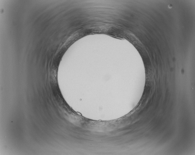 X0000062870045200602031727