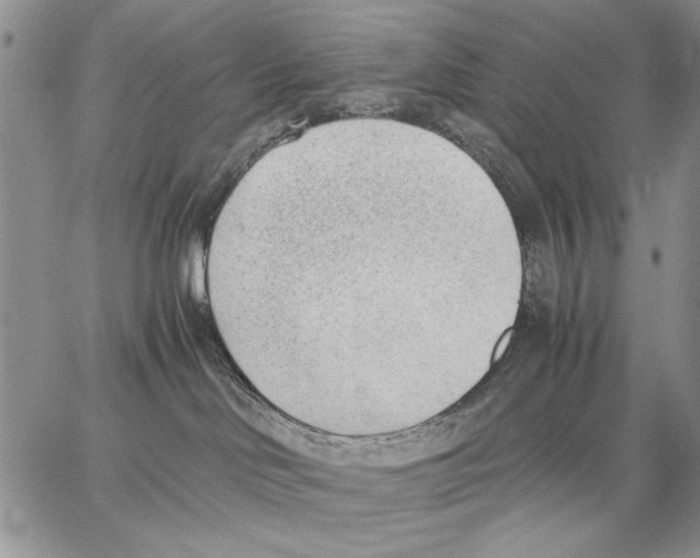 X0000062870046200602031727