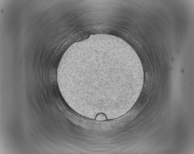 X0000062870048200602031727