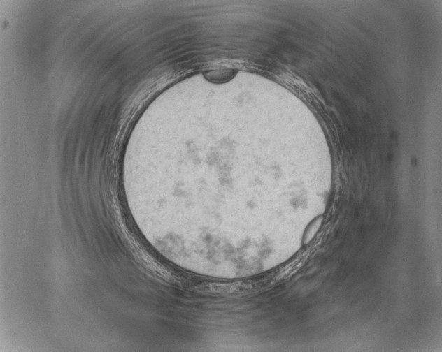 X0000062870049200602031727